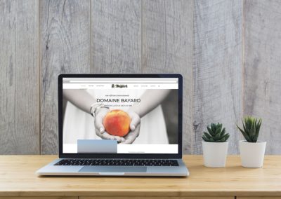Site internet WordPress pour producteur de fruits
